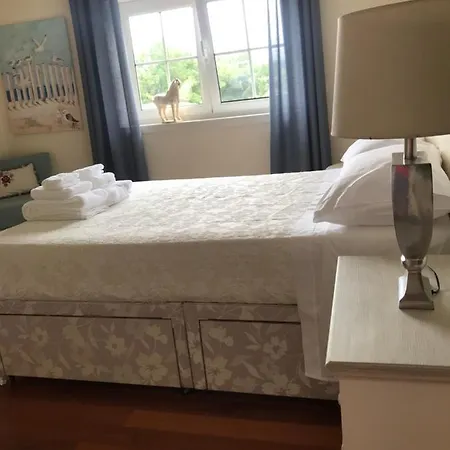 Bed & Breakfast Camelias
