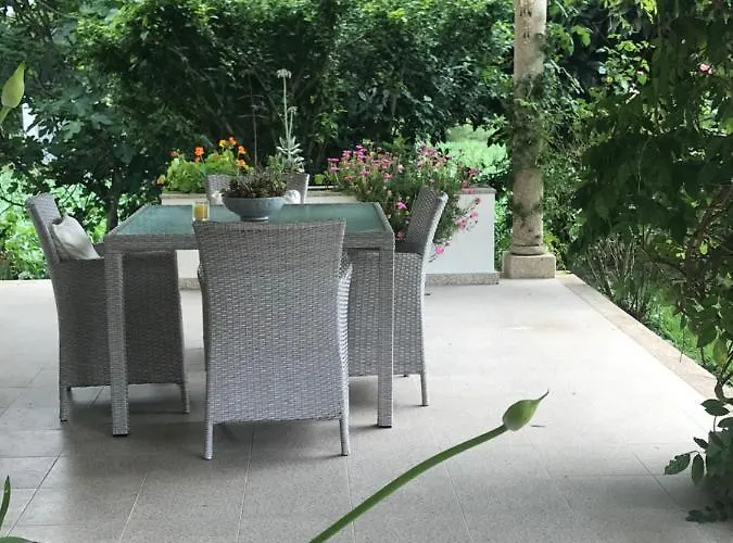 Bed & Breakfast Camelias