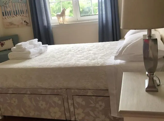 Bed & Breakfast Camelias